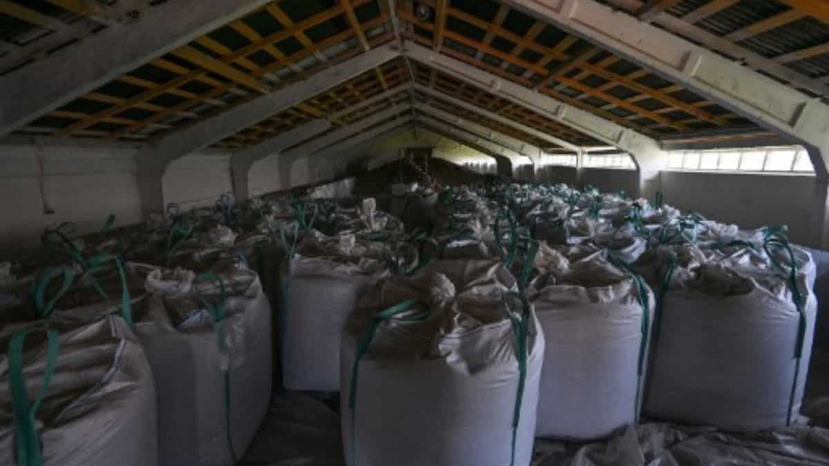 US announces three-year agriculture partnership with Ukraine to address food crisis