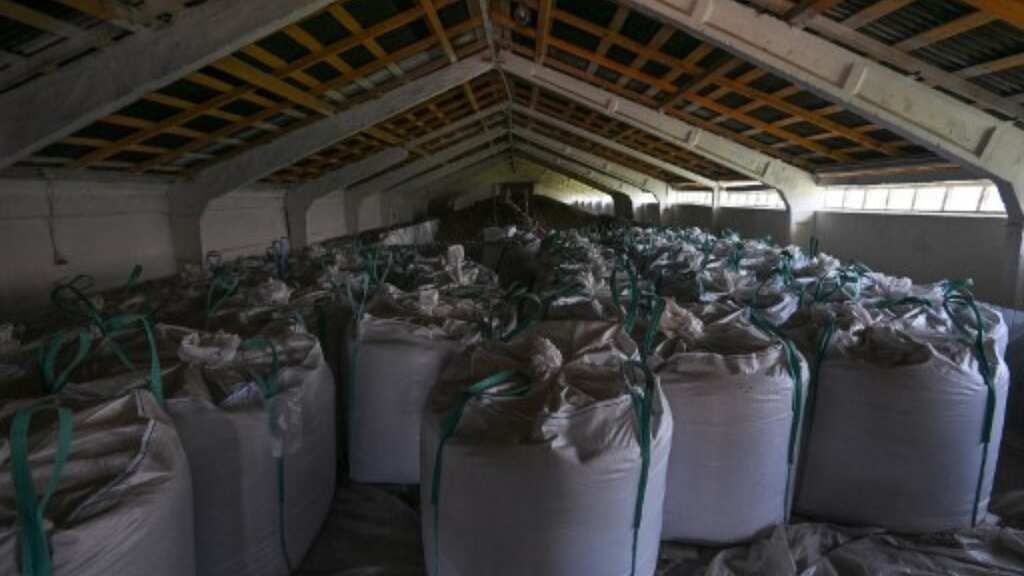 US announces three-year agriculture partnership with Ukraine to address food crisis