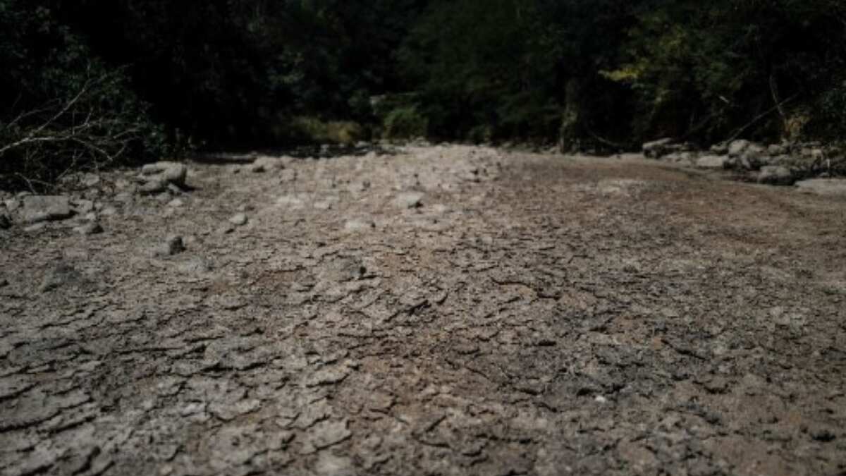 Earliest heatwave ever recorded in France