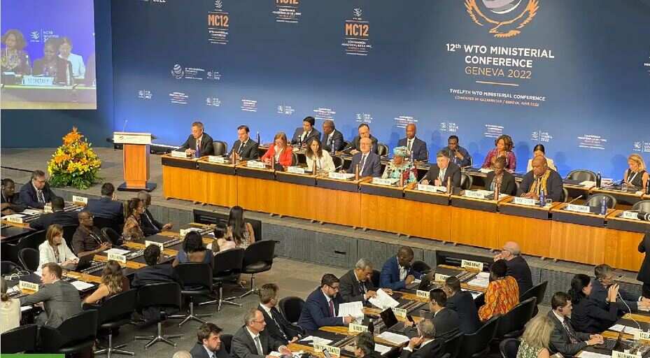 What did WTO ministerial agree on? And why are these agreements historic?