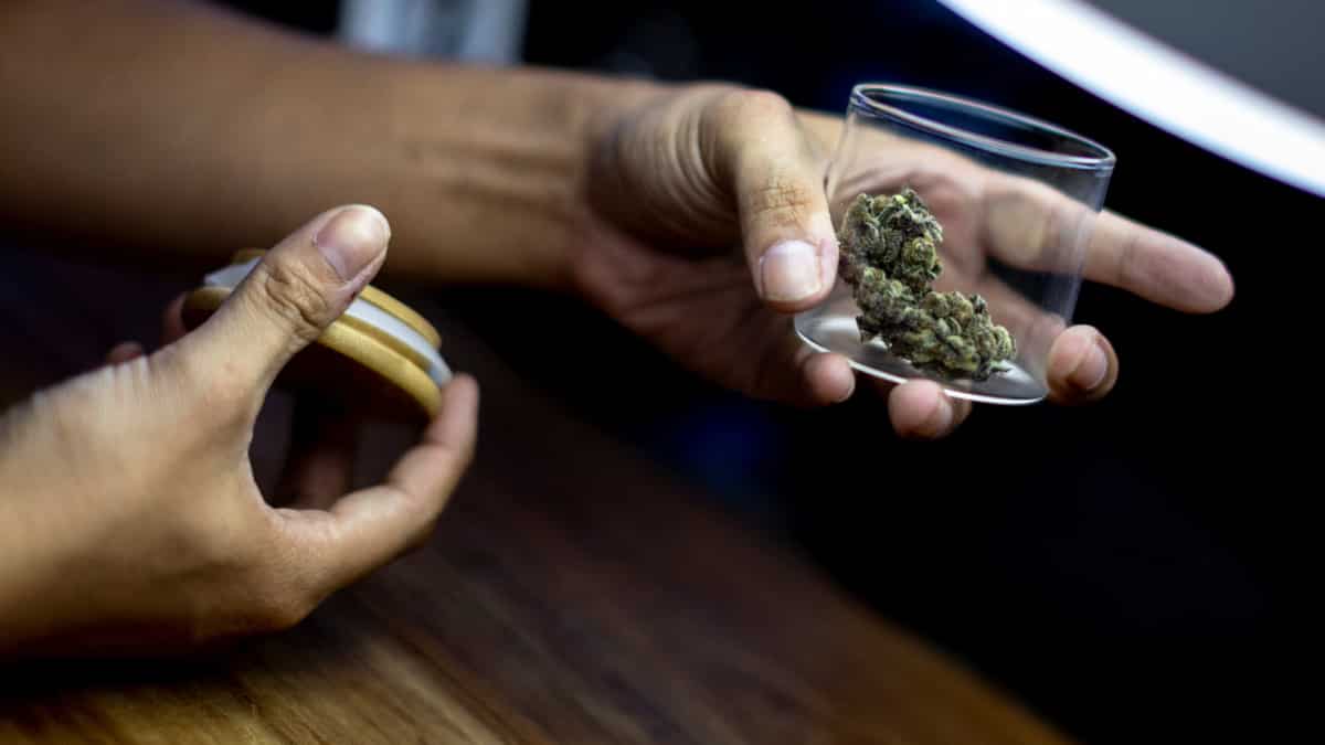 As Thailand greenlights cannabis, patients welcome cheaper supplies As Thailand greenlights cannabis, patients welcome cheaper supplies