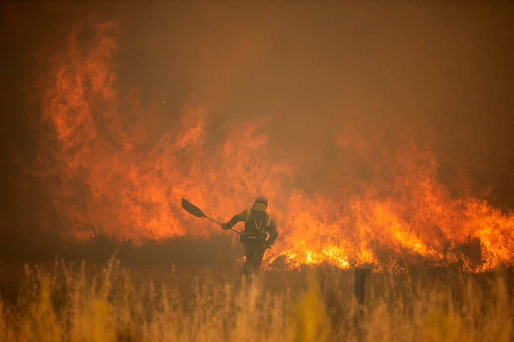 Spain, Germany battle wildfires as Europe swelters in unusual heatwave
