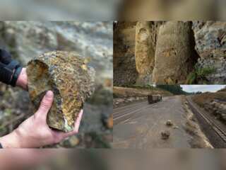 In Pics: 290-million-year-old ‘rare’ forest unearthed in Brazil