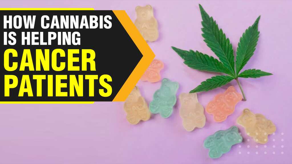 Thai cancer patient welcomes Cannabis legislation