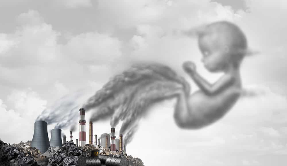 Effects of climate change lead to food shortage | Air Pollution can cause infertility