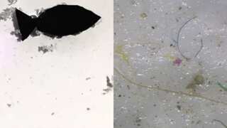 13-mm-long robot-fish designed by scientists to ‘eat’ microplastics in oceans