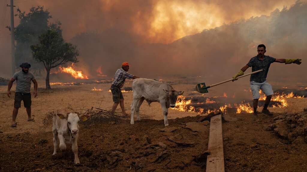 Massive wildfire in Southern Turkiye