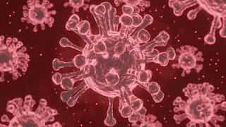 Austria to scrap mandatory Covid vaccination, just months after making it a law