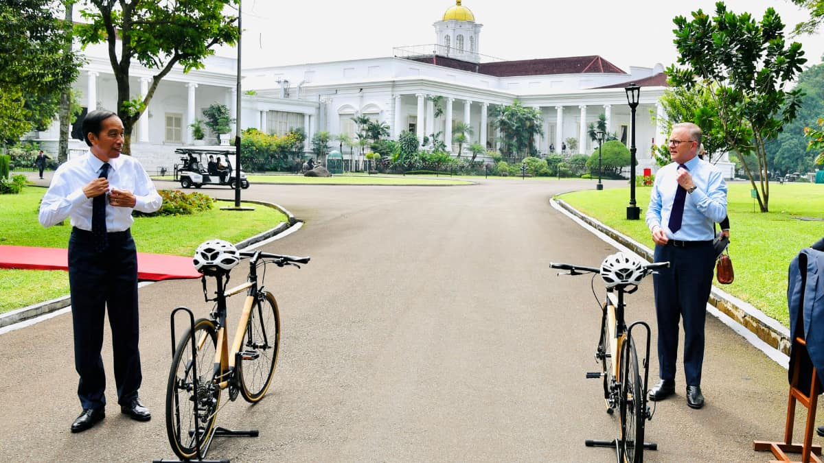 Friendship on wheels