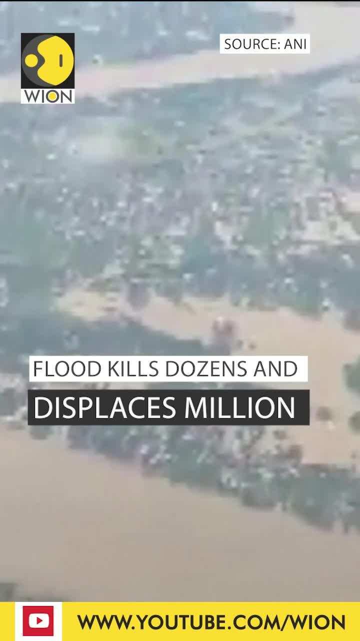 Indian air force airdrops aid to flood-hit Assam