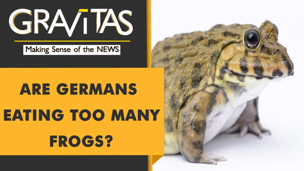 Gravitas: Frogs are being eaten to extinction