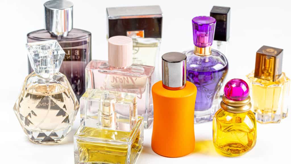 Study shows people with similar body odours are more likely to hit it off as friends