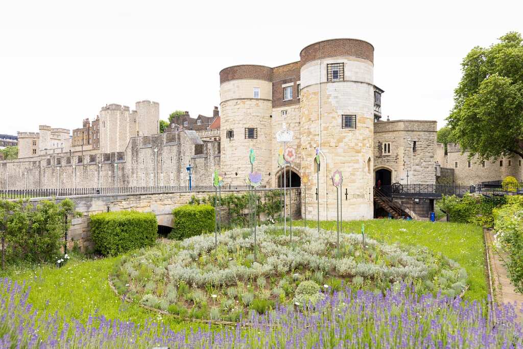 Jubilee flower meadow finally blooms