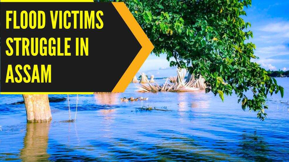 Flood victims in Assam struggle for livelihood