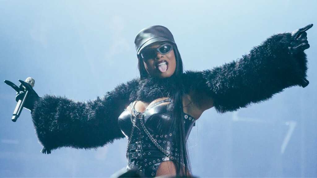Megan Thee Stallion seeks $1 million in relief from record label