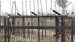 India: Pakistani intruder killed along international border in Jammu