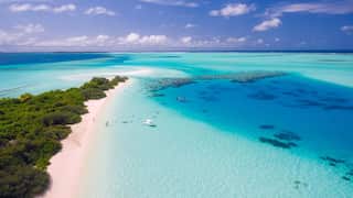 UN chief says ailing oceans in state of 'emergency'