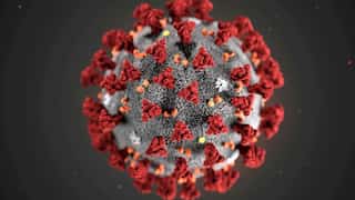 Covid virus fattens body cells to initiate its takeover, says study