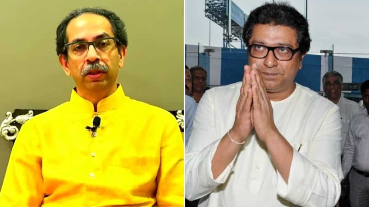 '...journey towards one's decline': Raj Thackeray posts sarcastic tweet after Uddhav's resignation