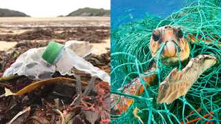 Report sheds light on big brands like Coca Cola and how they 'greenwash' their products