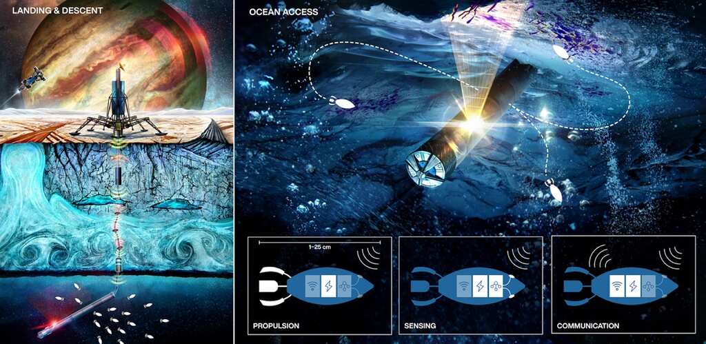 NASA looking to come up with tiny swimming robots to search for alien life