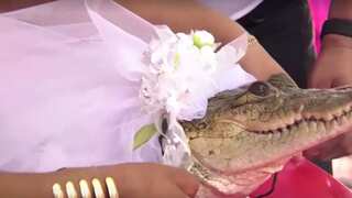 'You may kiss the bride': Mexican indigenous leader marries alligator bride in astonishing ceremony
