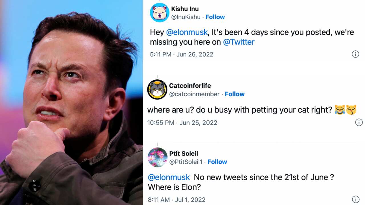 Twitterati react to Elon Musk's absence on Twitter Twitterati react to Elon Musk's absence on Twitter