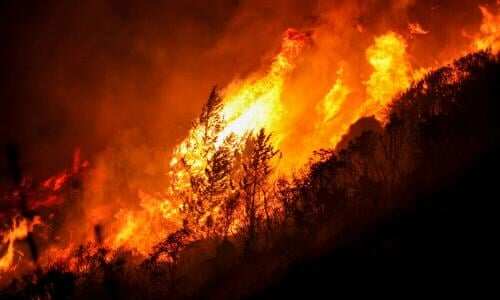WION Climate Tracker: Wildfire rage close to Machu Picchu | Landslide damages 150 houses in Peru