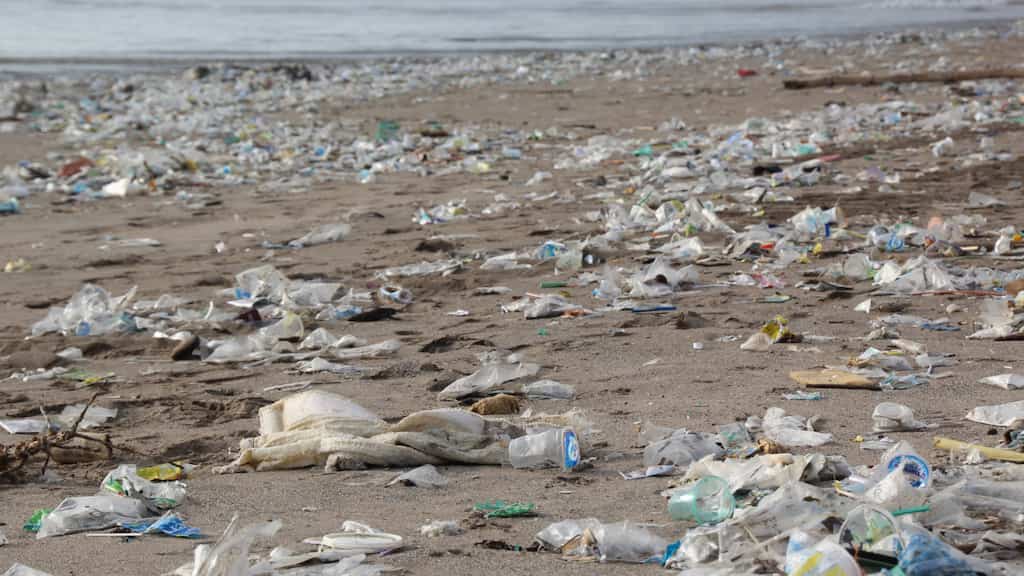 Eating, drinking and breathing for years: Scientists find microplastics everywhere