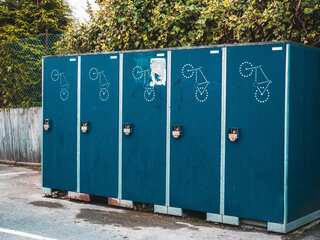 Call grows to tighten New Zealand law that allows public pooping if no one watching