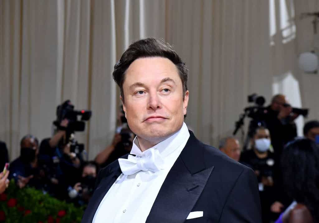Elon Musk backs on Twitter after 10 days, posts photo with Pope