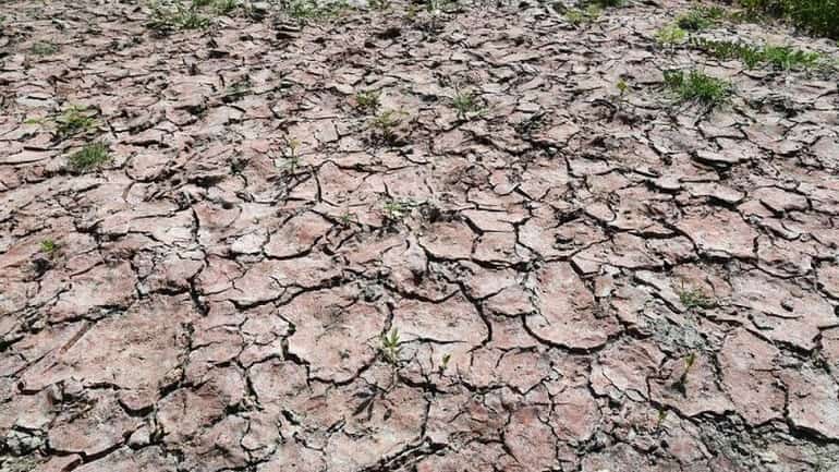 Italy declares state of emergency in five northern regions amid ongoing drought