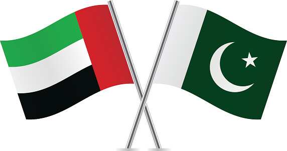 UAE offers to acquire 10-12% shares of cash-starved Pakistani firms