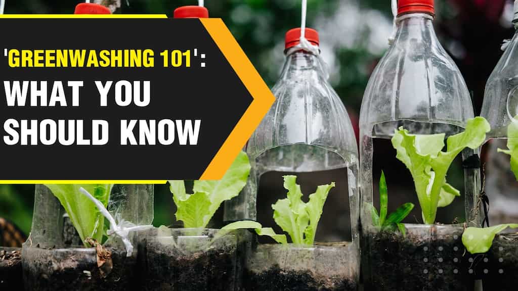 What is greenwashing, the practice major companies are accused of engaging in?