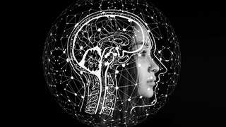 Study finds patients in coma had 'conscious-like' brain activity before death