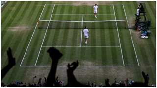 Wimbledon: All England Club asks players to spend daily food allowance wisely after coach bags 27 yogurts
