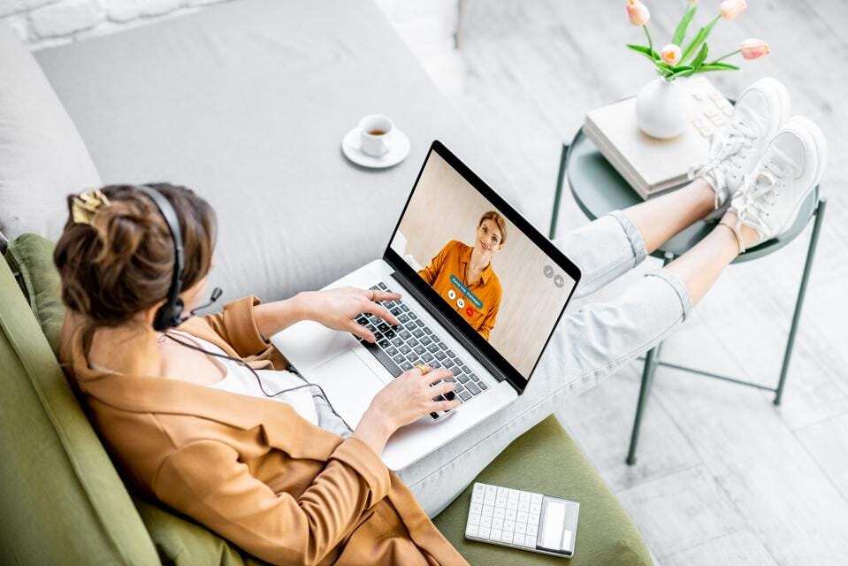 WION Fineprint | Dutch parliament makes working from home a legal right