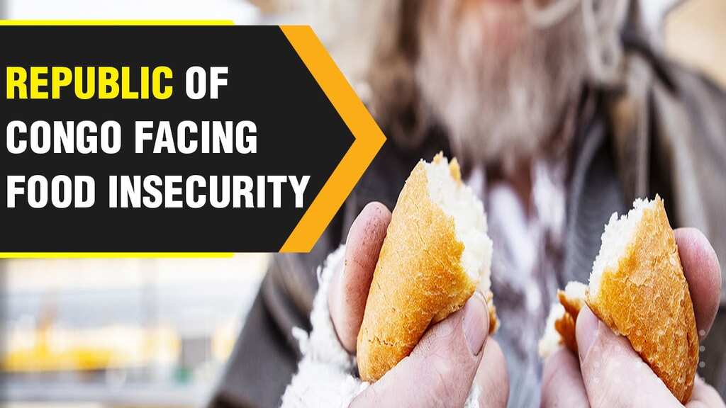 Around 2.3 million facing food insecurity