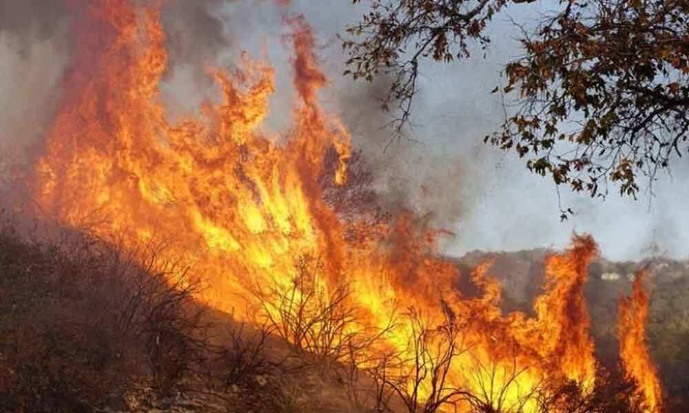 WION Climate Tracker: France battles blaze in North Grad, several areas put on read alert