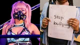 Japan cracks down on cyberbullying, makes it a punishable offence, but experts aren't too happy. Here's why