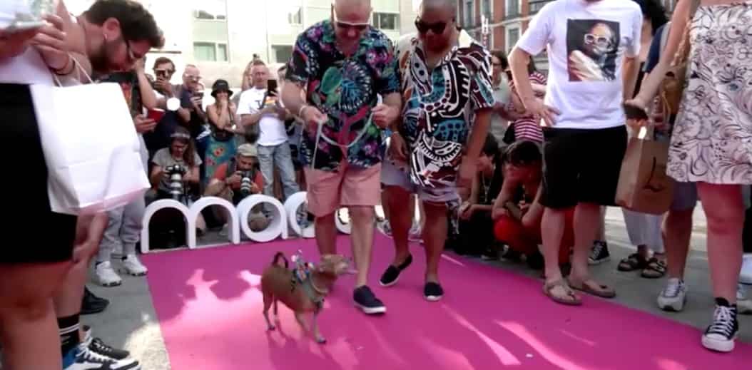 Pride week in Madrid