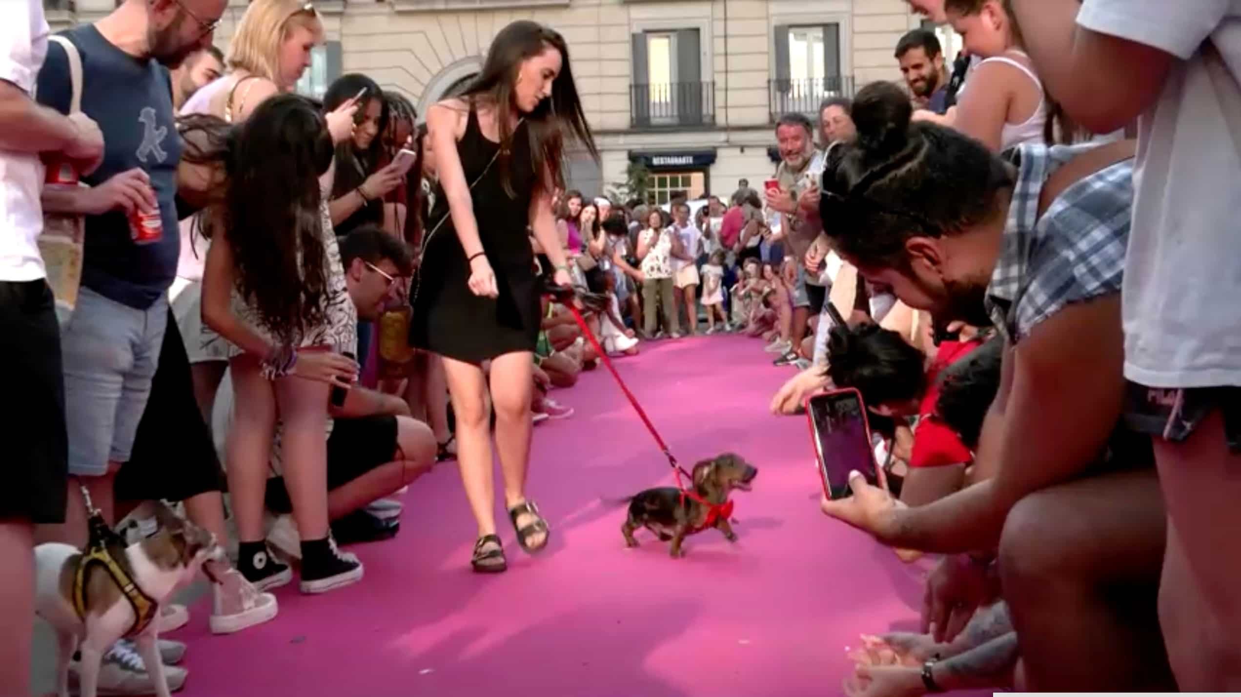 Spaniards accept homosexuality