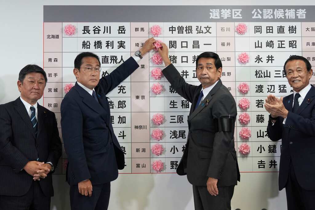 Councillors Elections: Japan's ruling coalition makes strong election showing