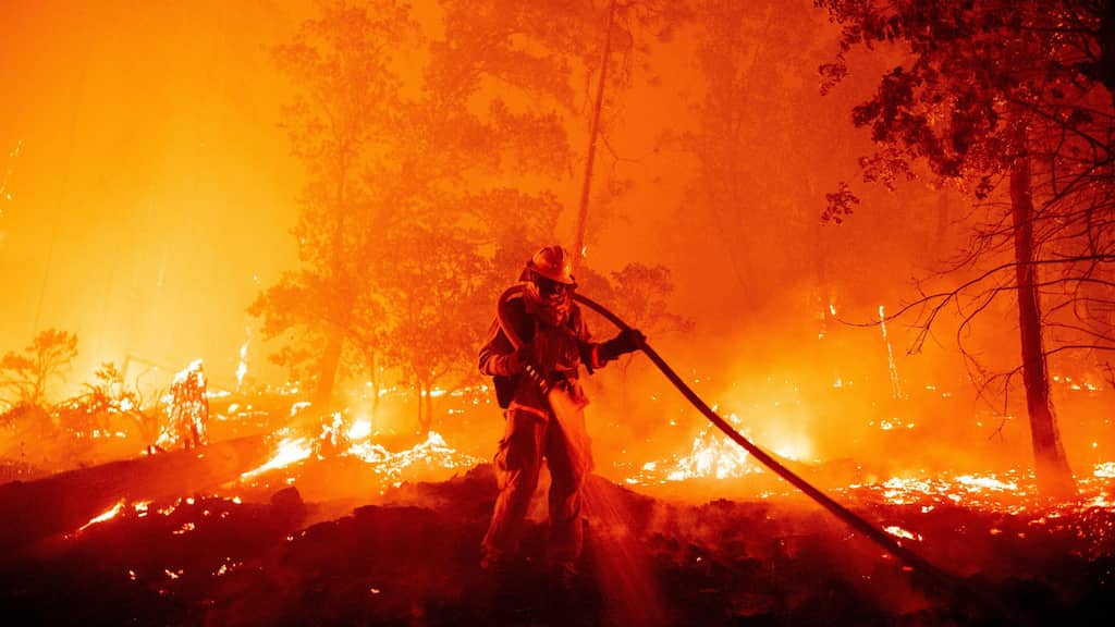 WION Climate Tracker | Wildfire in the US threatens largest grove of giant Sequoias
