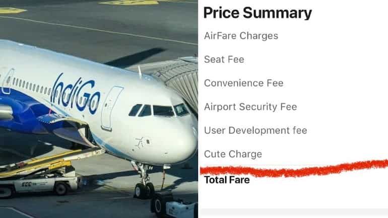Indigo levies 'cute fee' on passengers, netizens find it hysterical