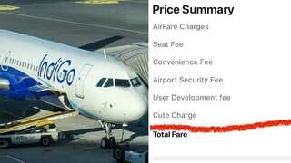 Indigo levies 'cute fee' on passengers, netizens find it hysterical