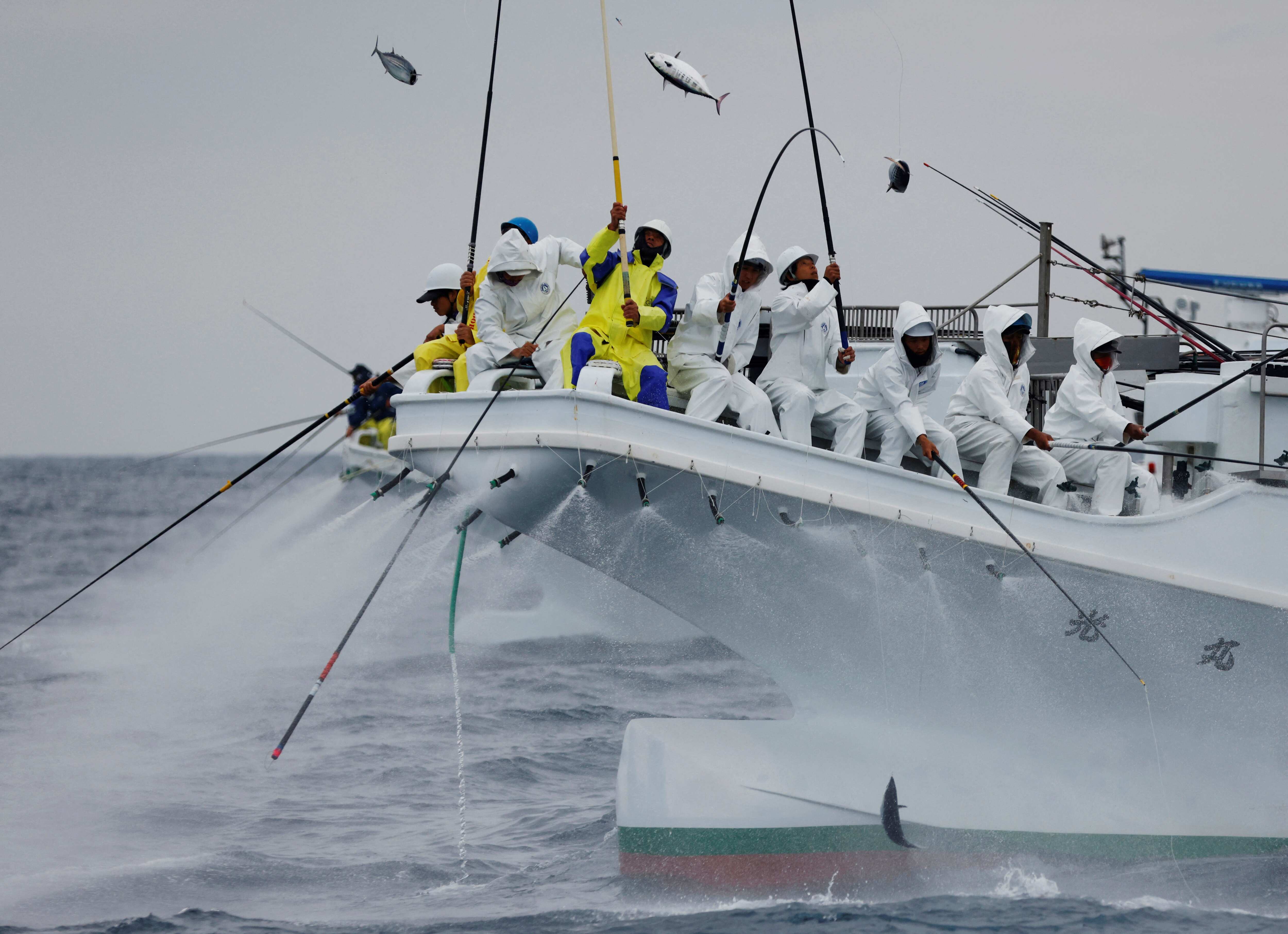 Typhoons and rising temperatures hurt