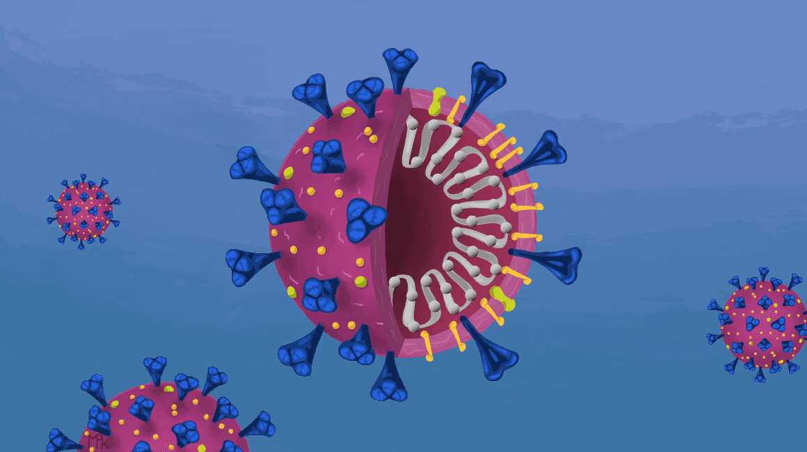 Study suggests this cancer-causing virus can lead to brain cancer Study suggests this cancer-causing virus can lead to brain cancer