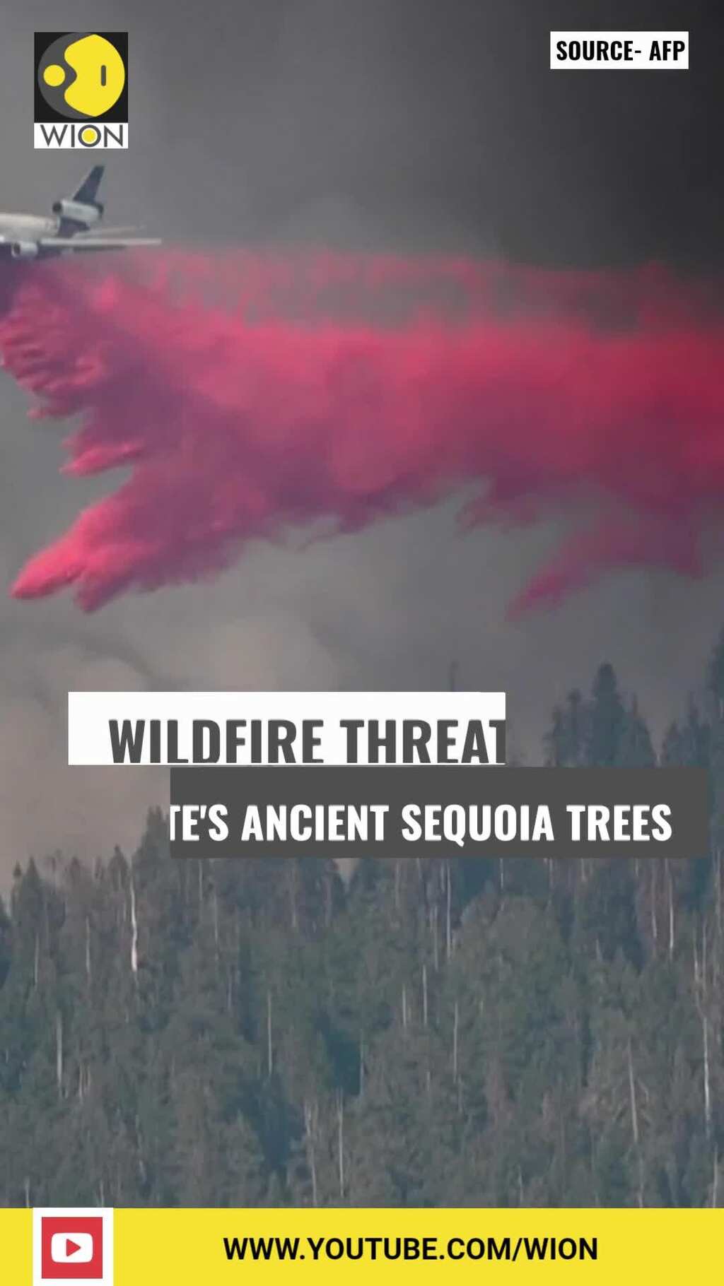 US: Wildfire threatens Yosemite's giant ancient Sequoia trees