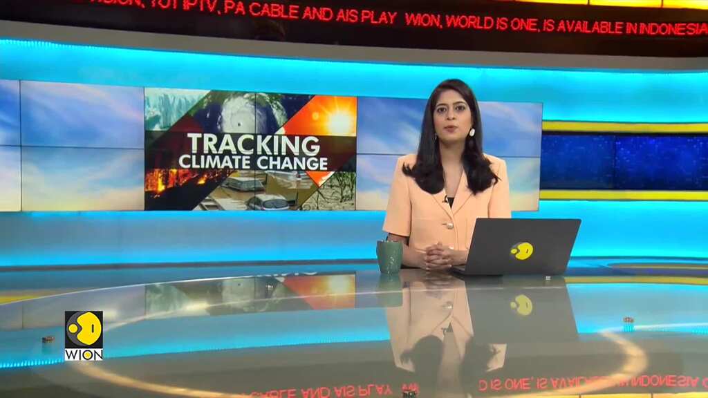 WION Climate Tracker | Underwater gardeners of Denmark plant seagrass that captures carbon dioxide